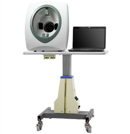 의사 뷰티 살롱을 위한 LD6021C 전력 얼굴 모이스투르 분석기 3D 기계